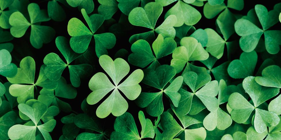 May the road rise to meet you, yours, and all of us this St. Patrick’s Day.