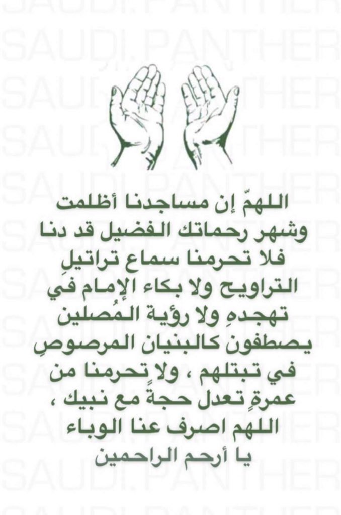 بيرو ♡ tweet media