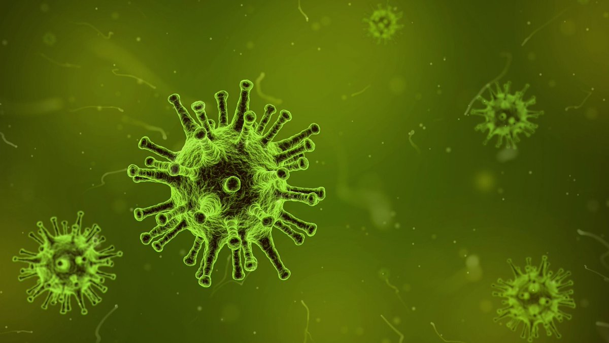 WearableG's tweet photo. Trotz #Corona laufen unsere Projekte relativ normal weiter. Alle Details findet Ihr hier: https://t.co/gDXVzZMSC3

#COVID19 #COVID2019 #coronavirus #coronadeutschland https://t.co/IJbpCKUo98