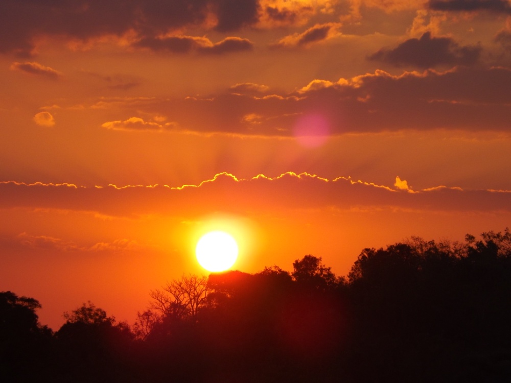 BushTimeMabula's tweet photo. A glorious end to another day in the #Mabula Private Game Reserve...
#sunset #BushTimeAtMabula https://t.co/2uwJDwzRTg