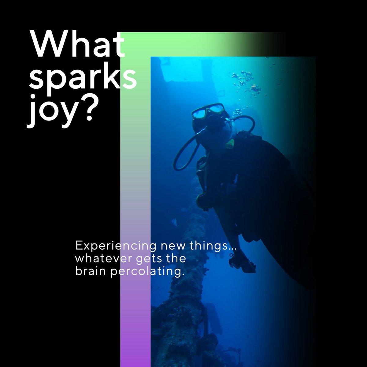 MCI Experience tweet media