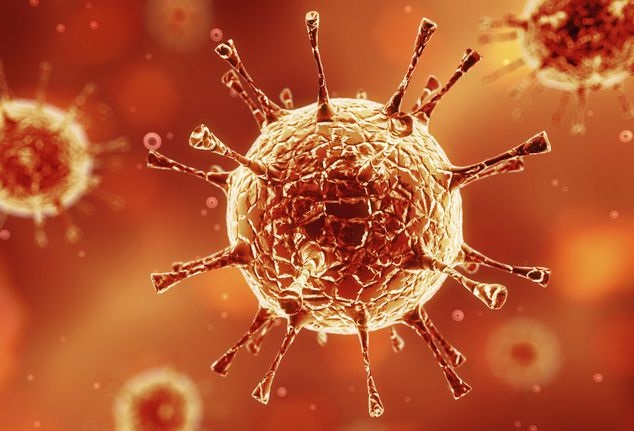 PanelWizard tweet media