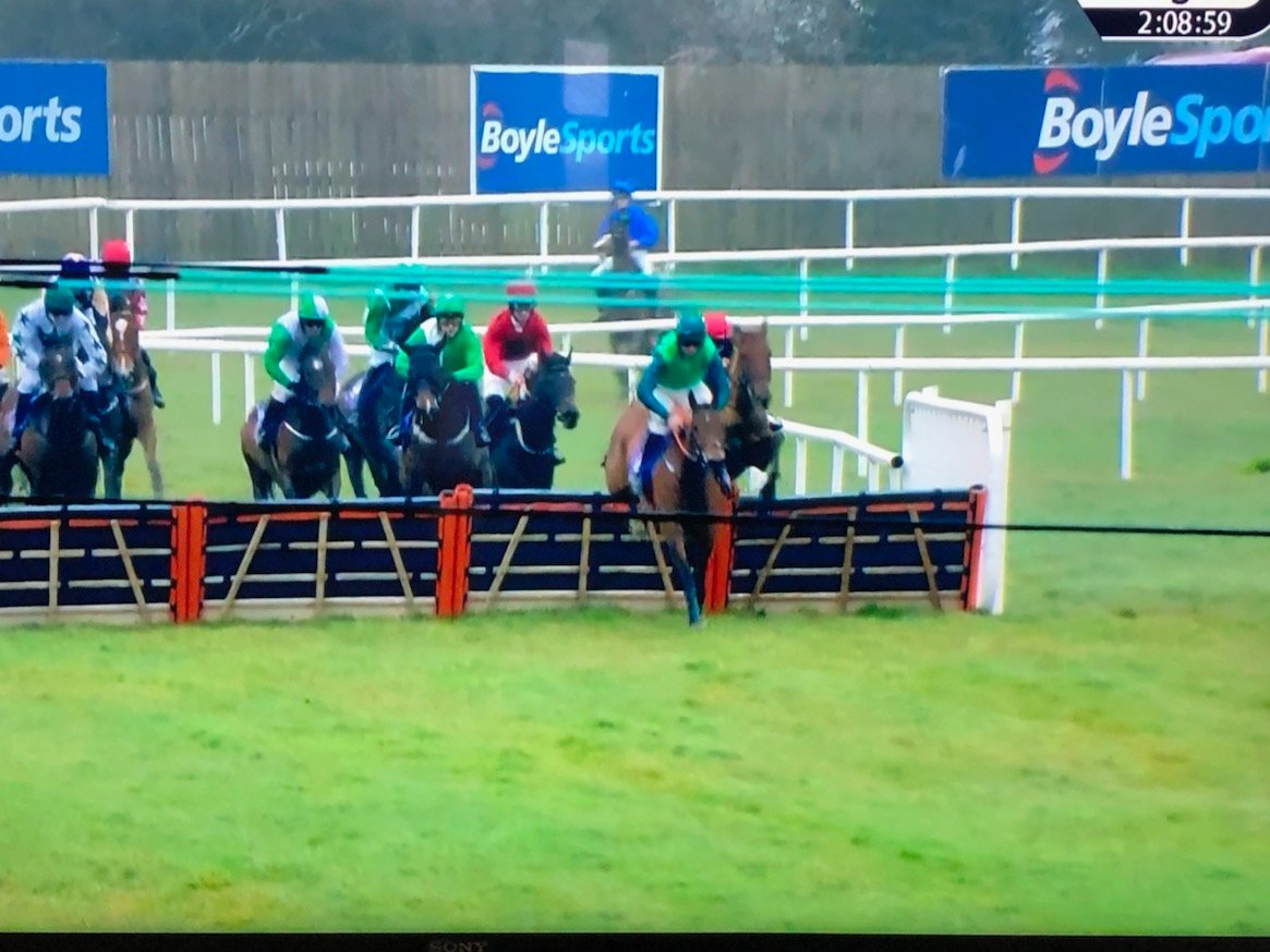 racing_wf's tweet photo. Our One Fit Padded Hurdles in use today at Wexford Racecourse, Ireland. https://t.co/yJDDzJ0NqR