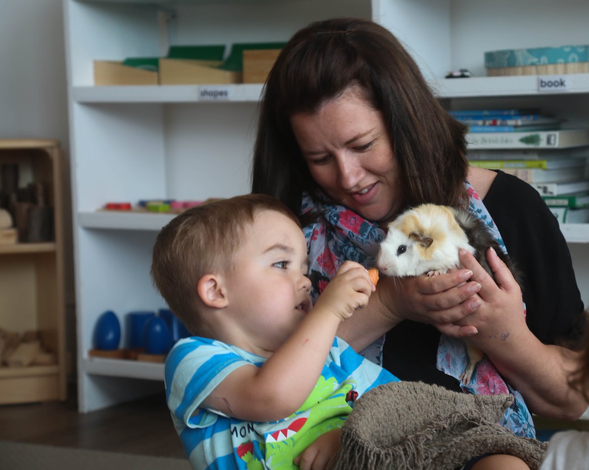 Our trainer and programme lead is Kelly Yates, a versatile professional with 20 years of experience teaching in the #EarlyYears and #PrimarySchool sectors. Kelly is dedicated to providing development and support for EY settings and Foundation Stage units within schools. #EYFS.