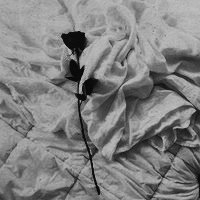 barbiegrigorov's tweet photo. ───  ❛ just let me adore you ❜ https://t.co/IZfSU6Wtxr