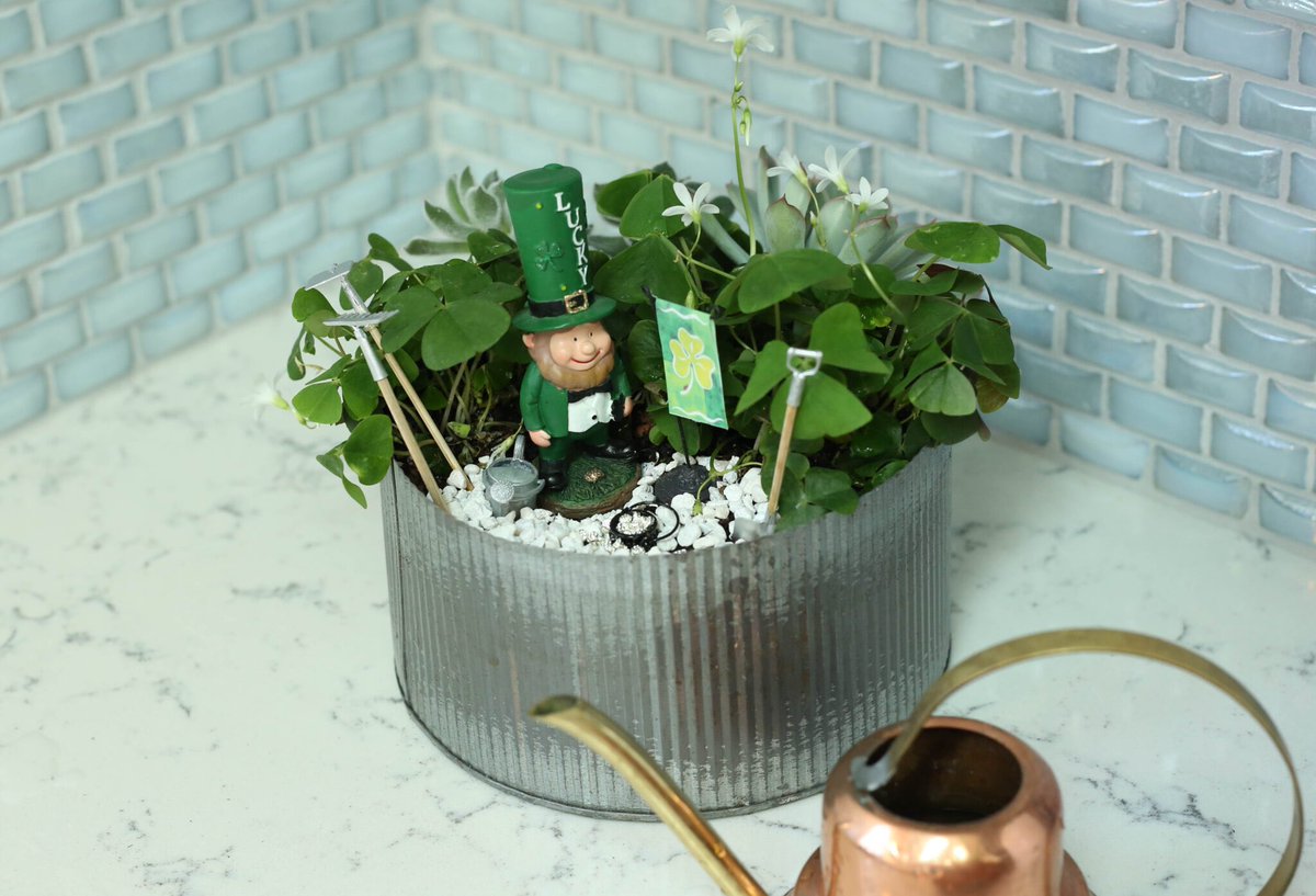 miniaturescom's tweet image. Happy St. Patrick’s Day! Thanks @Ritzyparties for this indoor planter project! 🍀 bit.ly/2QjTpS0