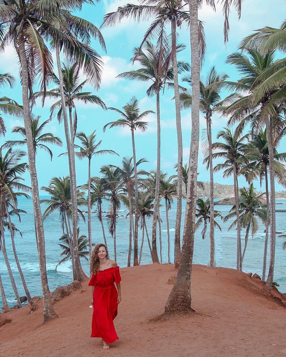 Attractionsins1's tweet photo. Coconut Tree Hill - Mirissa , SriLanka
https://t.co/iCANBeVJII
Photo credit @el.withsoul
#travel #travelphotography #srilanka #travelblogger #mirissa #coconuttree #coconuthill #travelsrilanka #travelceylon #travelgirl #visitsrilaka #wonderlust #trees #attractionsinsrilanka https://t.co/7MeI3Ns0k1