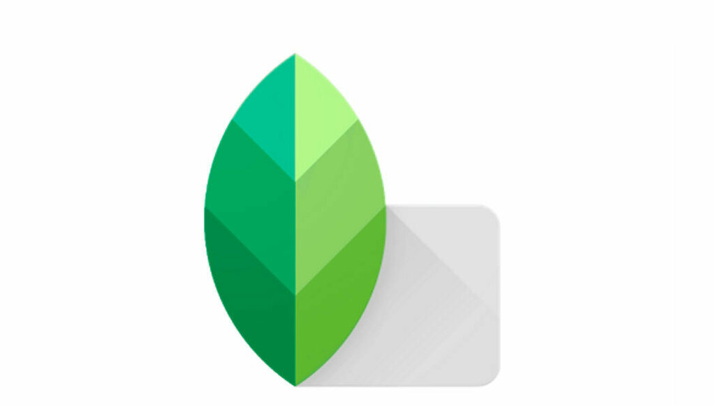 La mejor aplicación de edición de fotos de Google se actualiza tras dos años en el olvido elandroidelibre.elespanol.com/2020/03/snapse…
