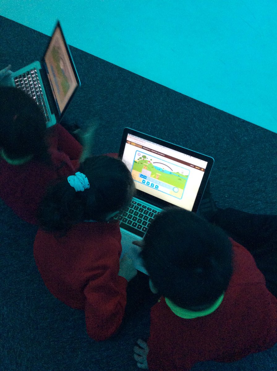 Year One Phoenix Primary tweet media