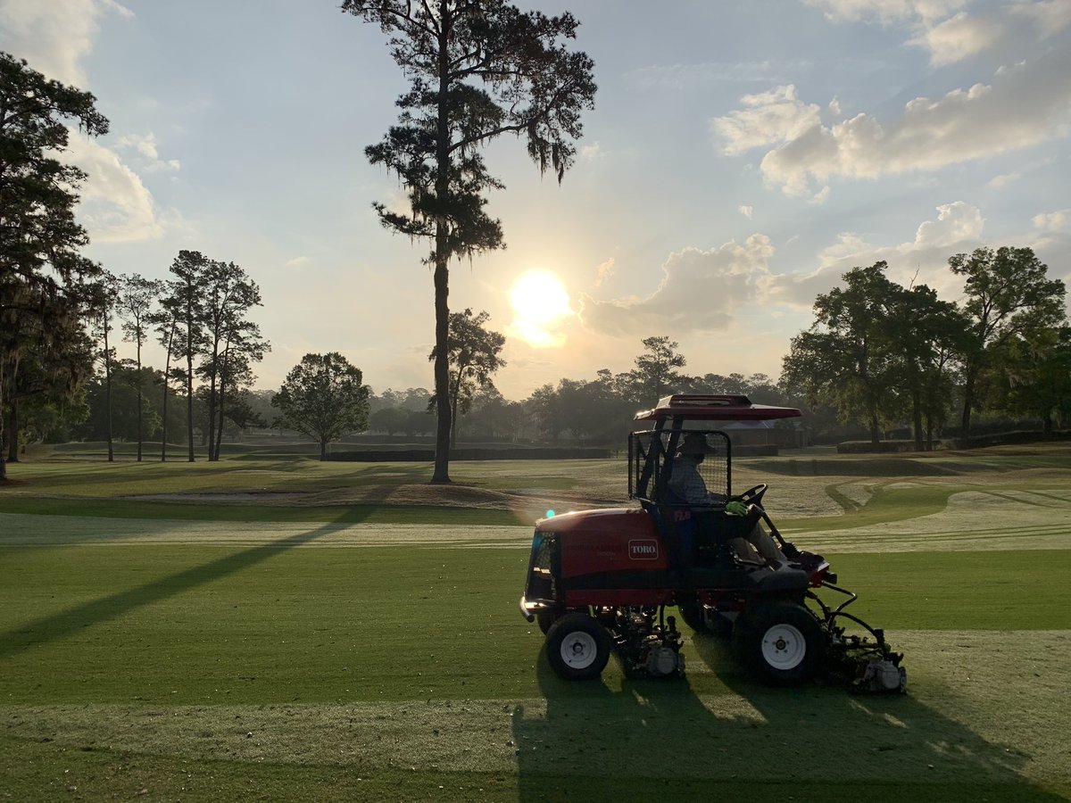UF Golf Course tweet media