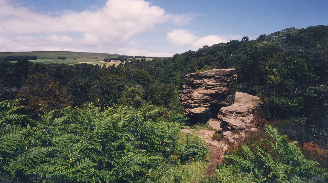Hardcastle Crags tweet media