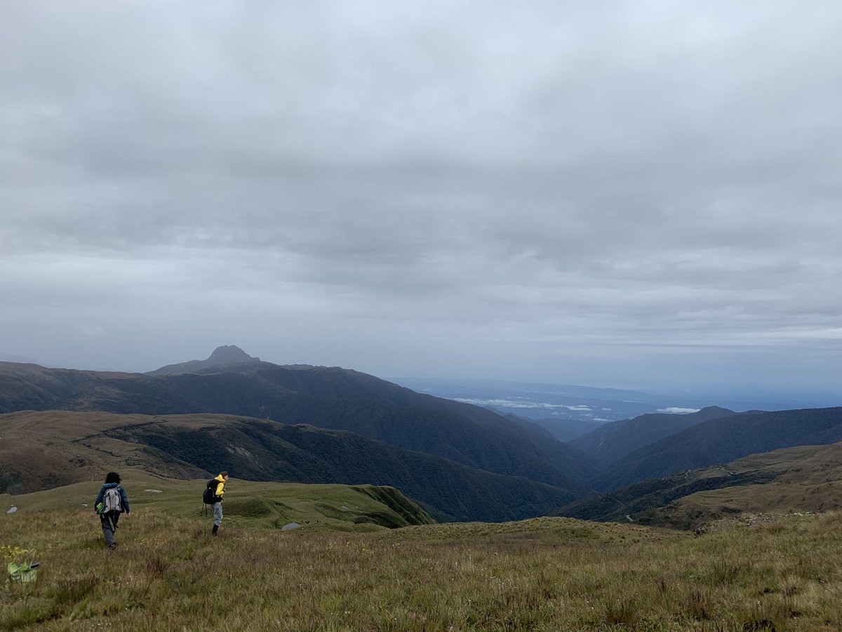 VVandvik's tweet photo. @SeanMichaletz @SehoyaCotner @bjenquist It’s unreal. A week ago, the #PFTC5 with 17 countries and 5 continents gathered in #Cuzco #Peru for an exciting 2-week #PlantFunctionalTraits course and field campaign. Today, 21 are stuck in #Peru due to #travelban, remainder are on our way home to #Quarantine #COVIDー19 https://t.co/t5haYhqE1e