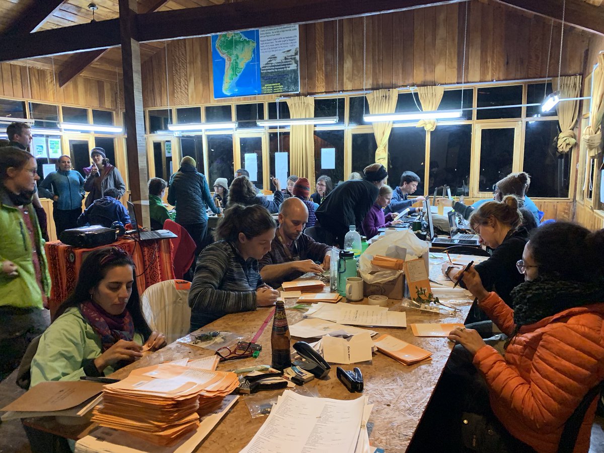 VVandvik's tweet photo. @SeanMichaletz @SehoyaCotner @bjenquist It’s unreal. A week ago, the #PFTC5 with 17 countries and 5 continents gathered in #Cuzco #Peru for an exciting 2-week #PlantFunctionalTraits course and field campaign. Today, 21 are stuck in #Peru due to #travelban, remainder are on our way home to #Quarantine #COVIDー19 https://t.co/t5haYhqE1e
