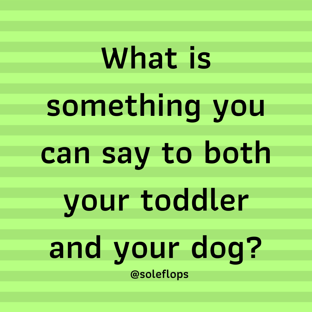 SoleFlops's tweet photo. What's that smell?  Did you just potty? https://t.co/ay14V0wNad
