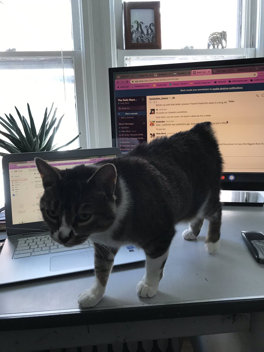 NateBeck9's tweet photo. There has been a breach https://t.co/thJfiSUE7p