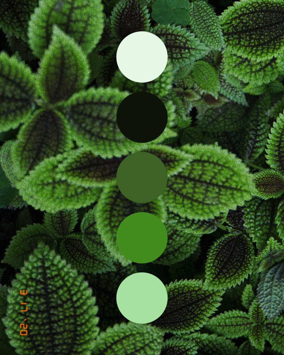 Element5Digital's tweet image. A very green color palette for a very green day. Happy St. Patrick's Day! 💚