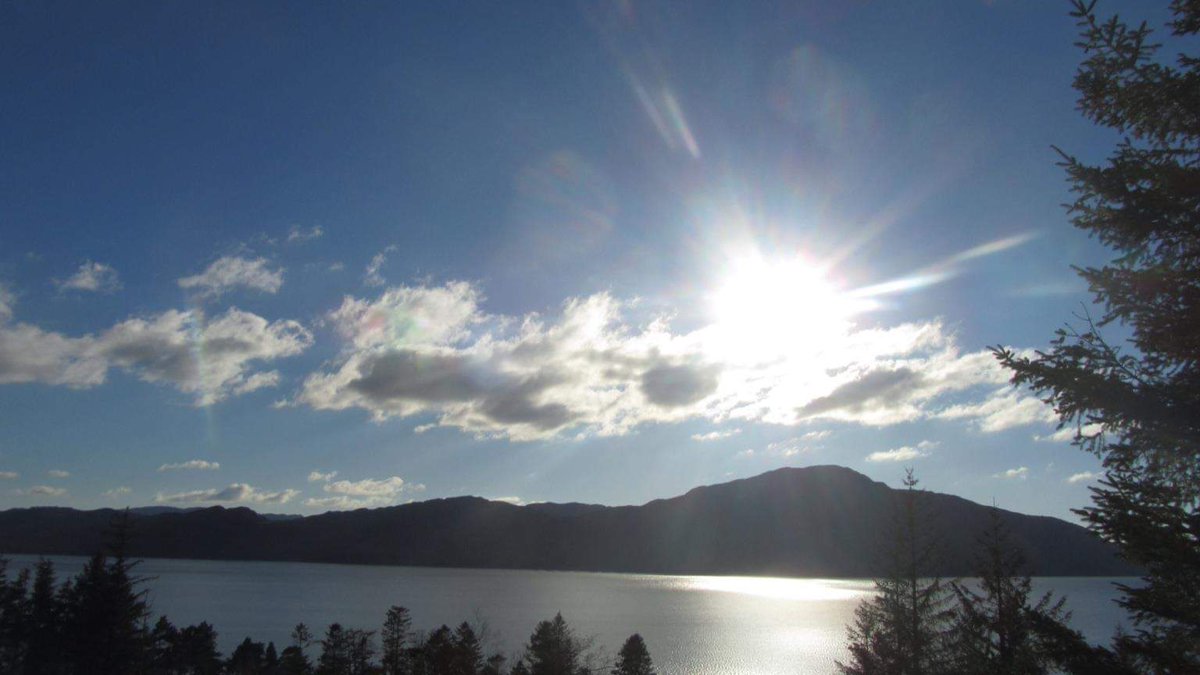 RachelInvolved1's tweet image. Let's get the conversation started...

involvedinvestors.com/post/every-cha…