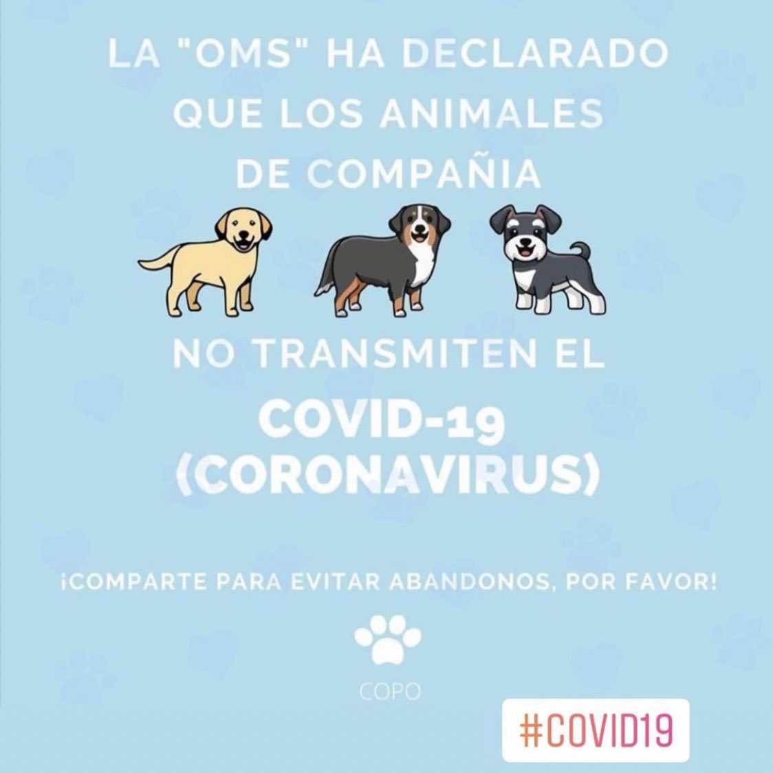 SuavesLomitos's tweet photo. Ayúdanos a compartir 🙏🏽 https://t.co/OFnAltIiur