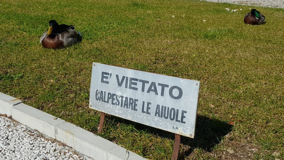 museomiramare's tweet photo. #Miramare diversamente popolato..
educatamente nel rispetto delle distanze di #sicurezza 🤣
#17MARZO 
#Amici19
#StayHome 
#MuseiChiusiMuseiAperti https://t.co/UtGhTsV71W