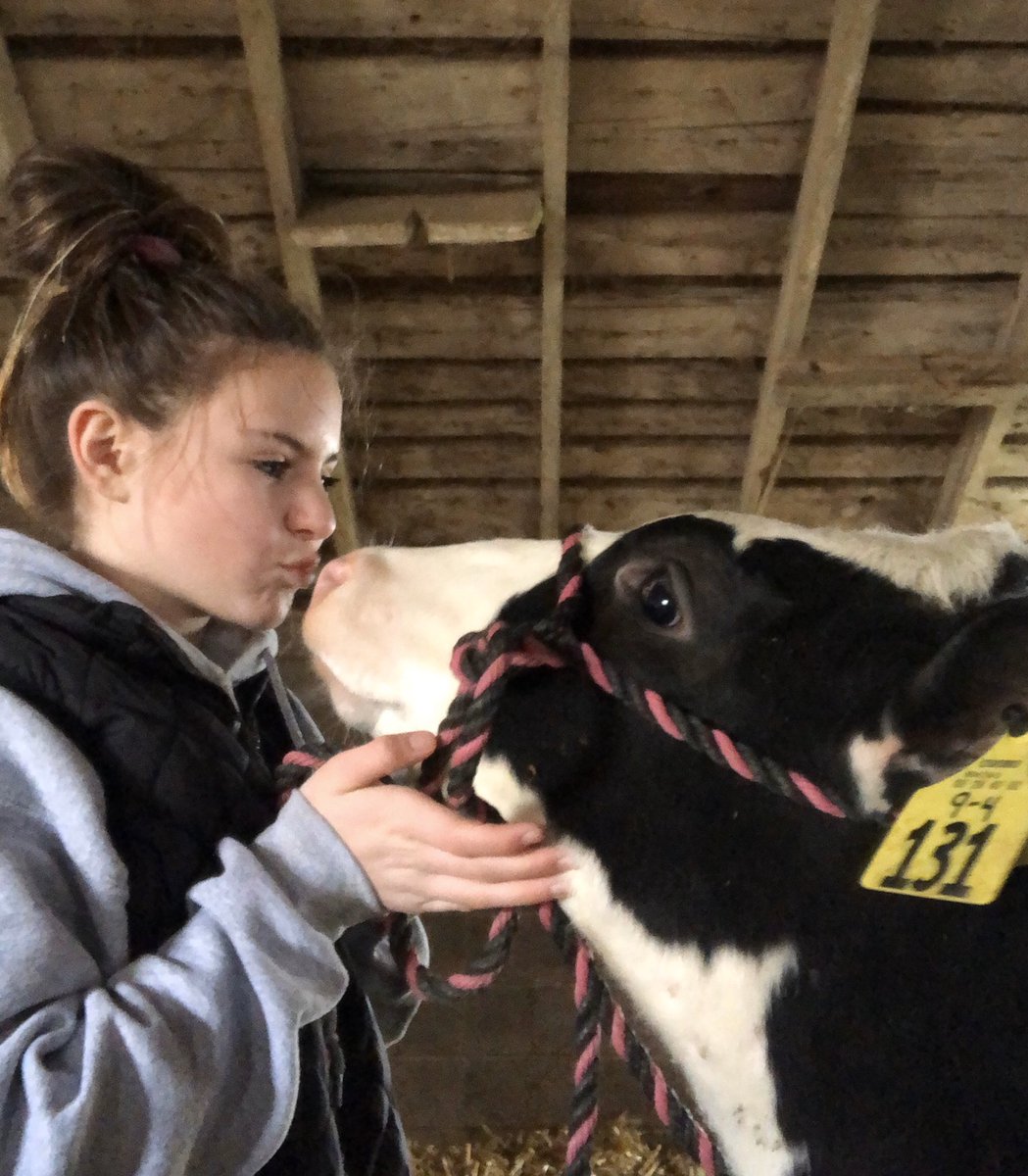 Ya can’t kiss other humans but ya can kiss cows! #SocialDistancing #QuarantineLife #stayhomechallenge #farmlove #family #iloveny #nyagriculture