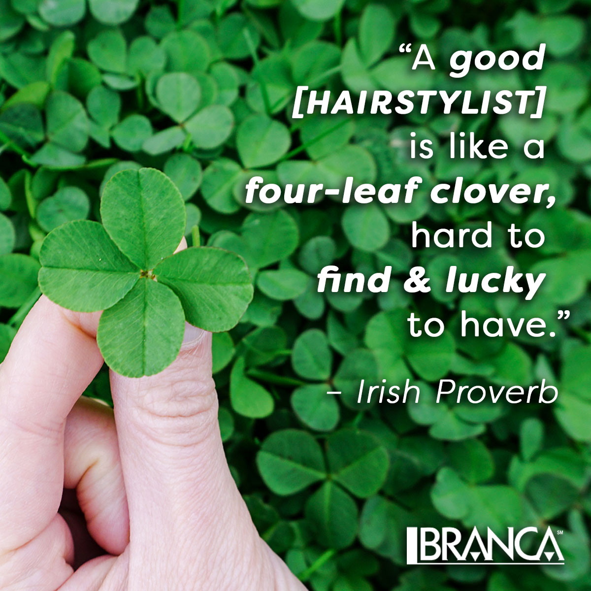 StudioBranca's tweet photo. Tag yours! #StPatricksDay 🍀🤍✨ https://t.co/ZHJgbEvFwL