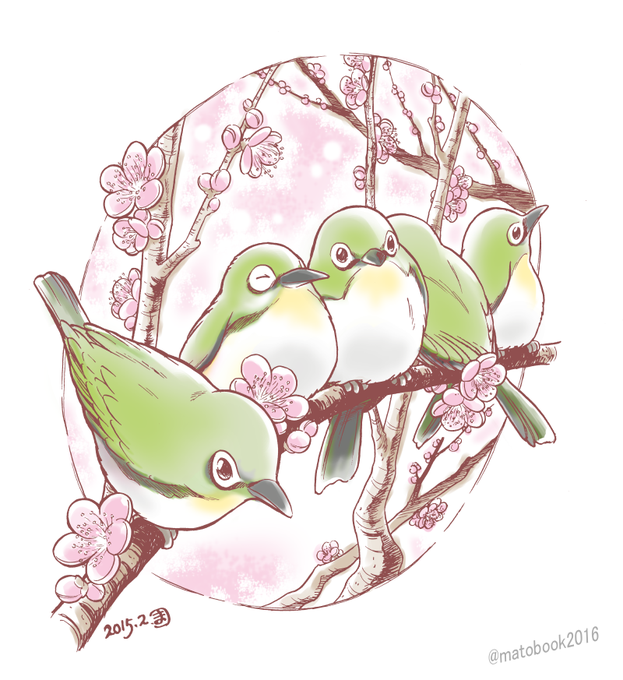 創作 桜 メジロ 手描きイラスト Thscpa Com Tw