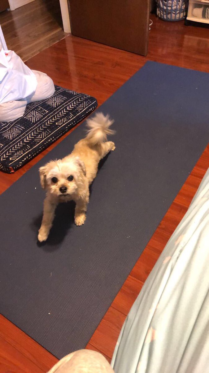 Life in pictures. No words. Day 1/5 I was nominated by <a href="/jordanlynh/">jordan hall</a>. Today I nominate <a href="/Olivia_RBruce/">Olivia Bruce</a>