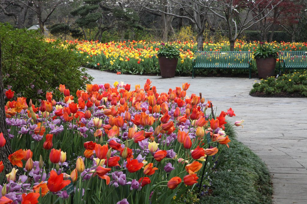 Dallas Arboretum tweet media