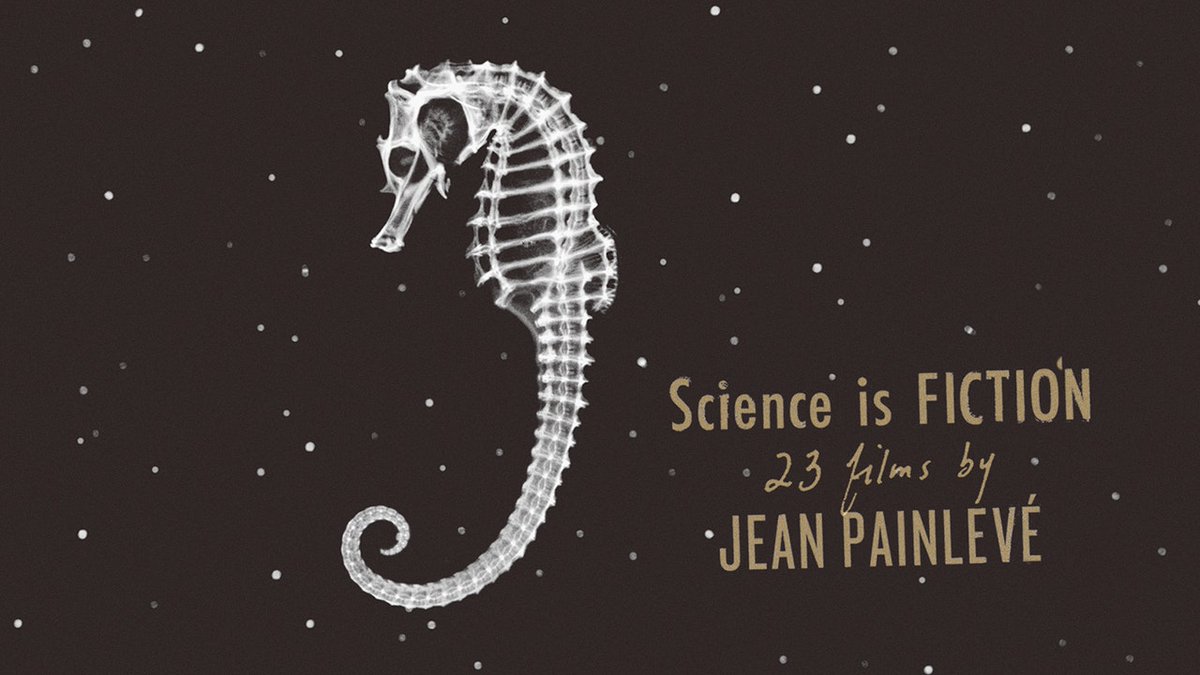 criterionchannl's tweet photo. Enjoy this definitive collection of mesmerizing, utterly unclassifiable science films by French filmmaker-scientist-inventor Jean Painlevé, which to be seen to be believed: delightful, surrealist-influenced dream works that are also serious science. https://t.co/rv7W1UzshW https://t.co/SW7LsYcBuE