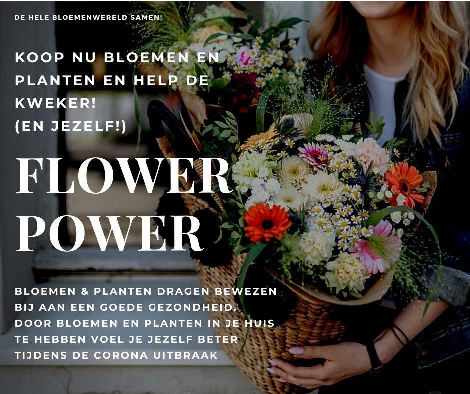 Horticoop B.V. tweet media