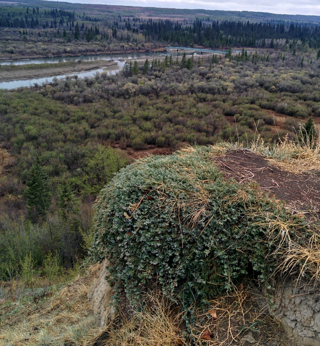 Happy #StPatricksDay! 
Celebrate by heading #outside &amp; looking for something green! See #green at #weaselheadpark today? Share your photos with us! #QuarantineLife