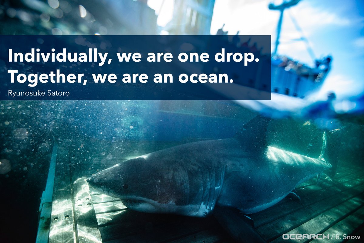 Figure we could all use a little #TuesdayMotivation