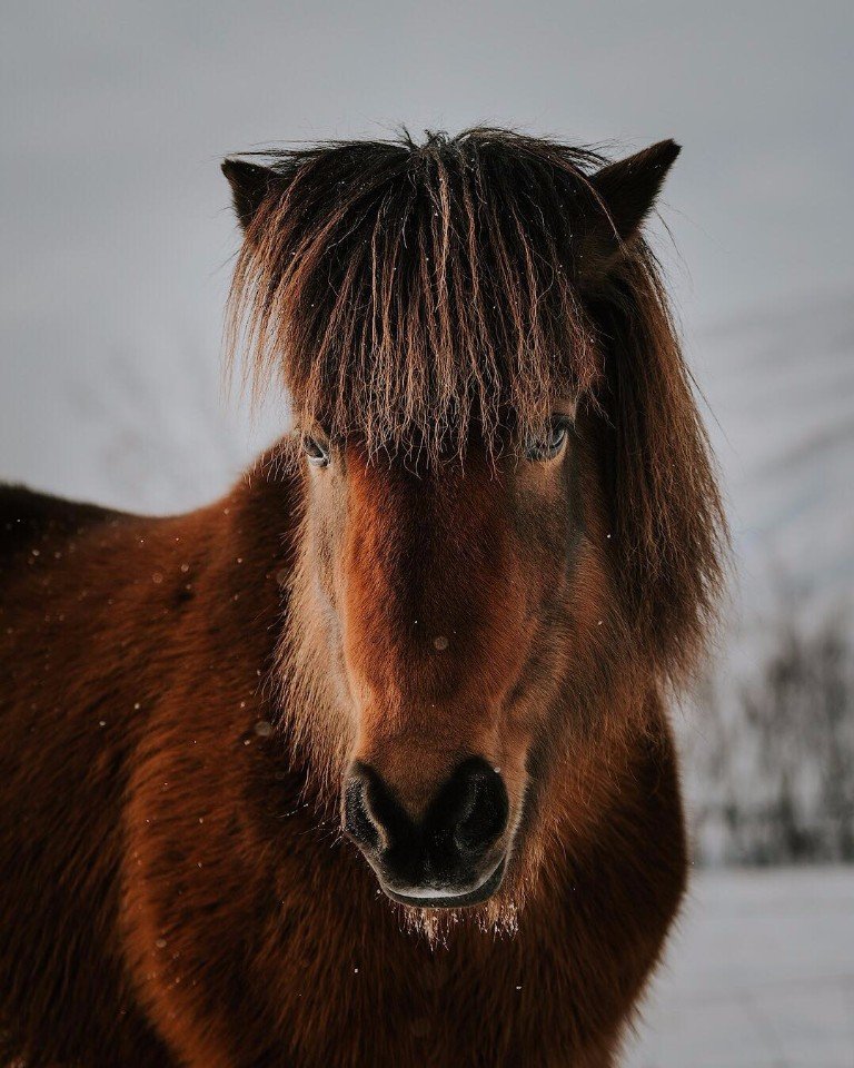 drunktwi's tweet image. Ислaндия — бyдтo стpaнa из пapaллeльнoй Всeлeннoй.