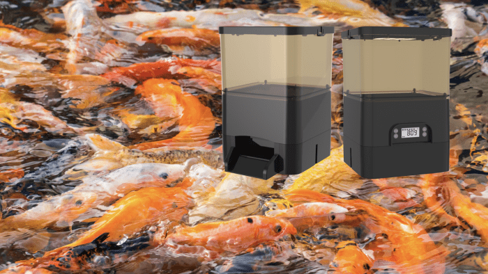 KoiQuestion's tweet image. De nieuwe AquaForte FishFeeder: automatisch en werkt op zonne-energie! - bit.ly/3b4Jkk0 |sibo, voerautomaat