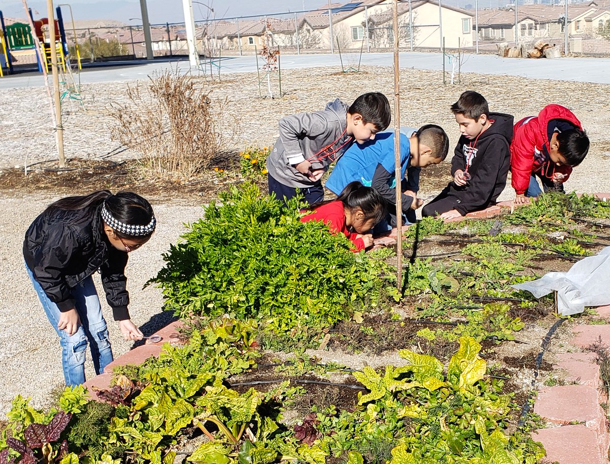 GreenOurPlanet2's tweet photo. #Activityidea💡Take your #scientists outside for a bug hunt like these #BlackhurstElementary students! All you need is a 🔍 and 📸. Then use Google to identify your new bug buddies! Thanks to @caesarsentertainment for sponsoring the #schoolgarden at Blackhurst. #SocialDistancing https://t.co/R3dMQCxu7V