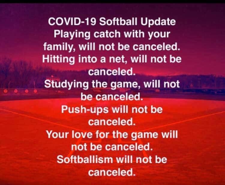 DP Softball tweet media