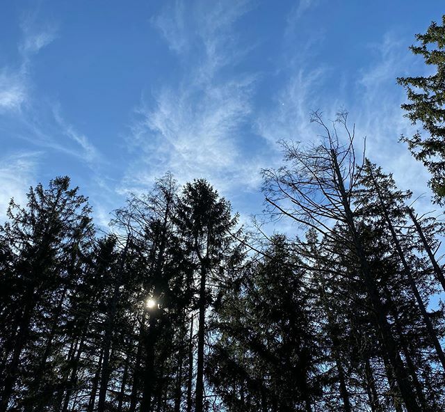 One day you’re out walking and making plans and the next you find yourself in a historic pandemic. This type of fear can bring up anxiety that hinders self care. 
What makes you feel more centered? 
Compassion, connectedness, creativity, clarity, courage… ift.tt/39YSMFm