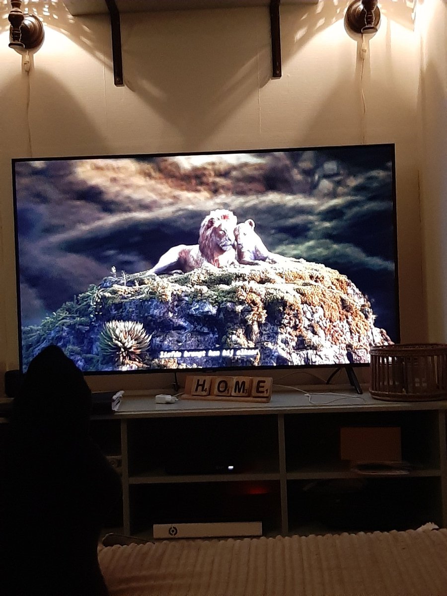 WE FINALLY WATCHED THE LION KING 