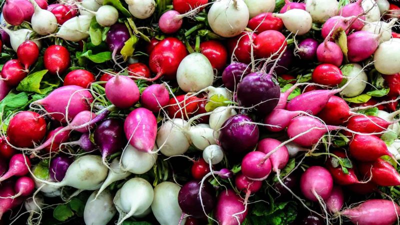 pandabode's tweet image. Many springtime foods contain fantastic immune boosting nutrients. So here are some ideas for a quick immune boost, thanks to locally grown, seasonal produce. bit.ly/38YcqQv
#nutrition #ImmuneSystem