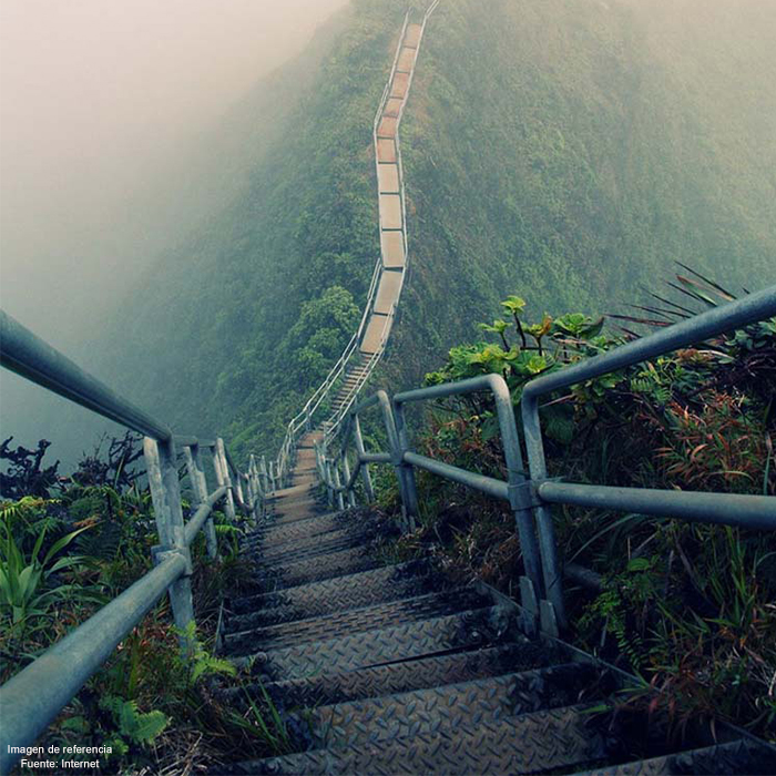 tellevamosmx's tweet photo. #CosasPorHacer
Subir los 3,922 escalones que tiene la escalera de #Haiku, ubicada en #Hawái, ya que proporcionan una increíble vista de la isla. https://t.co/Vzo8eWzNUM