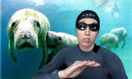 ElenaSchneid's tweet photo. Professor Schneider's Second Zoom session begins now! History 100E The Atlantic World, featuring manatees, my favorite Caribbean and West African marine mammal #shelterinplace #travelsofthemind @UCBHistory #virtualprofessor #wetsuitandgoggles https://t.co/7ZnQF0nvsh