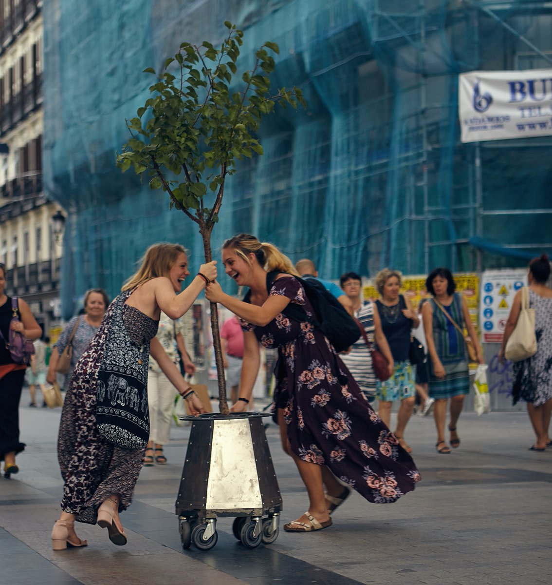 BIONICFESTIVAL's tweet photo. DANCING WITH TREES IN MADRID #bionicfestival #dancingwithtrees #madrid #biomemory #biosensitive #sustainable #performingarts #trees #magic #energy #feeling #good https://t.co/wVtp1R4kjR