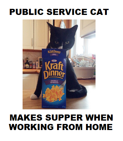 civilservicecat's tweet photo. WHEN WILL YOU BE OLD ENOUGH TO FEED YOURSELVES?
#its5PMalready?
#butihavedeadlines
#butihavephonecalls
#youjustatesixhoursago
#idontcarethatyouhaditforbreakfast
#justaddwater
#workfromhome https://t.co/MXp491QcNL