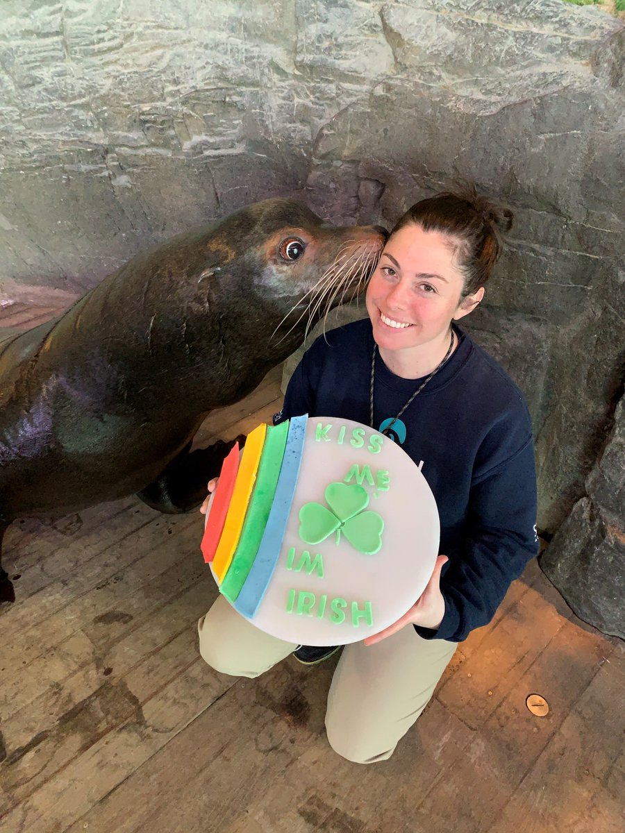 Shedd Aquarium tweet media