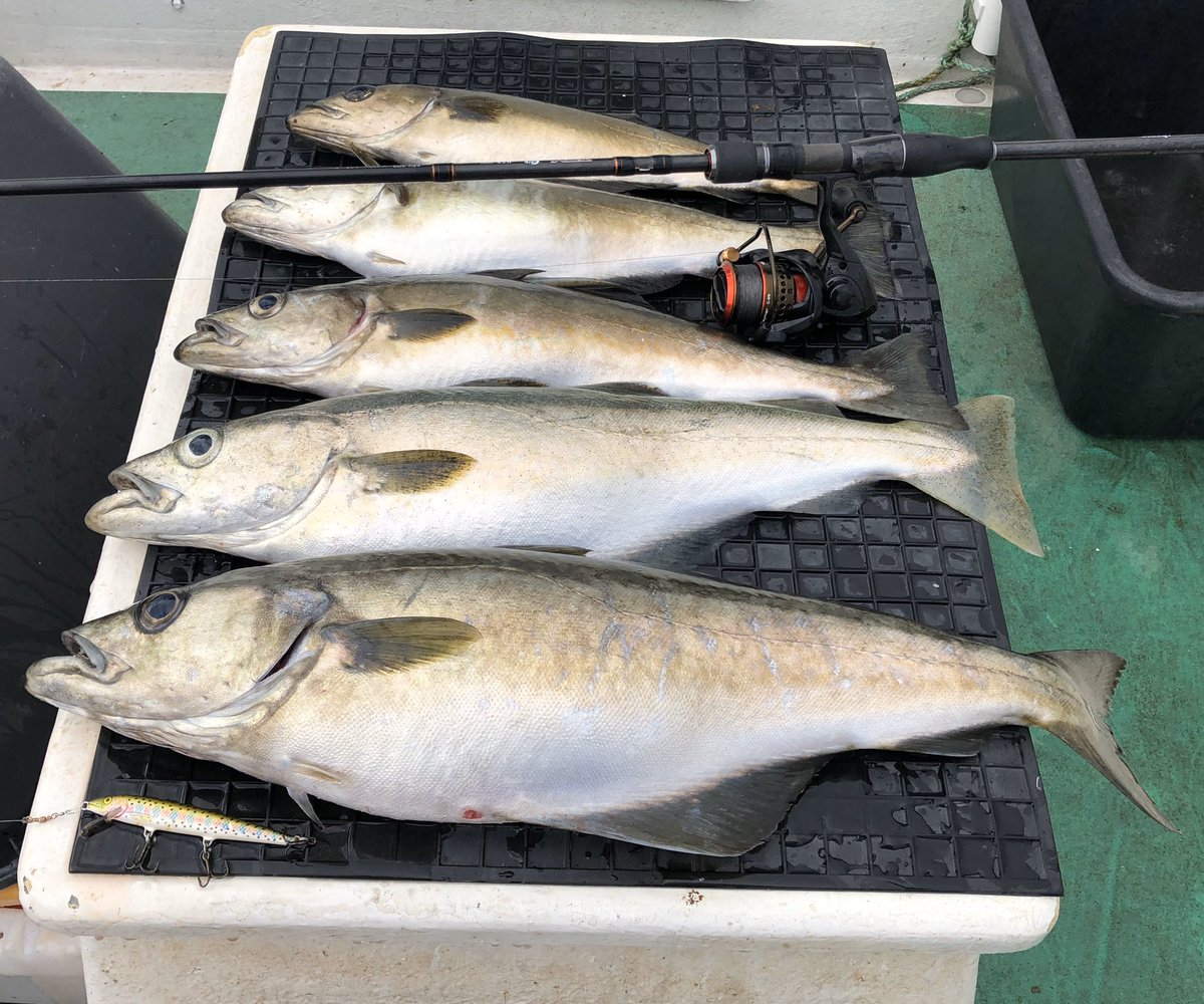 AutosettA's tweet photo. Lyr er bra🍽😁 Fisket med Rapala 11 FC, en av mine favoritter.

https://t.co/PtmXE3J5Ya #Autosett #AutosettLarge #AutosettMedium #AutosettMediumFlaggbøye #AutosettSveiv #Sniksnøre #fiskeMedAgn #Rapala #MustadRustfri #AutosettNorway https://t.co/mSndHFssj3