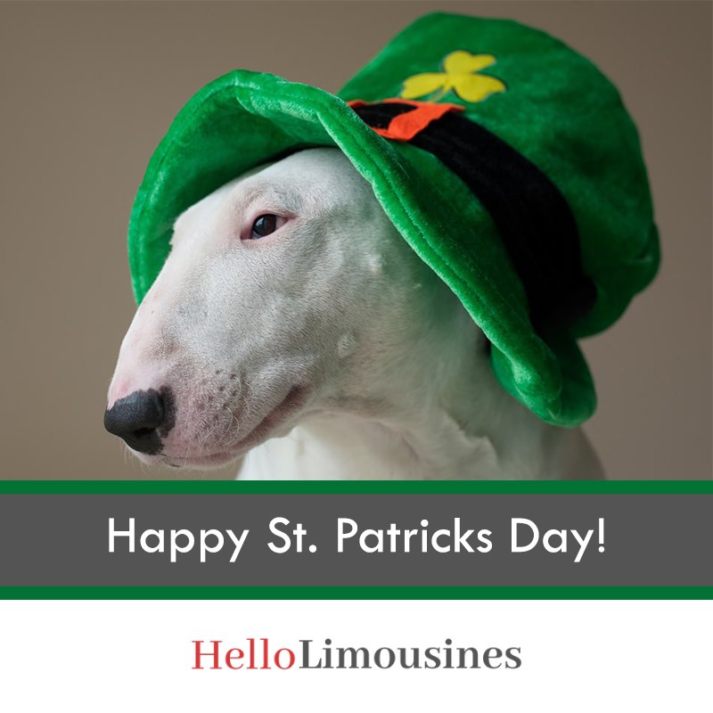 HelloLimousines's tweet image. Happy St. Patrick’s day everyone. It feels like we’re missing the normal cheer of #StPattys day this year. That being said, enjoy it to the fullest while still avoiding big crowds and practicing social distancing😷. Stay healthy and safe 💪.

#kingofprussiapa #malvernpa