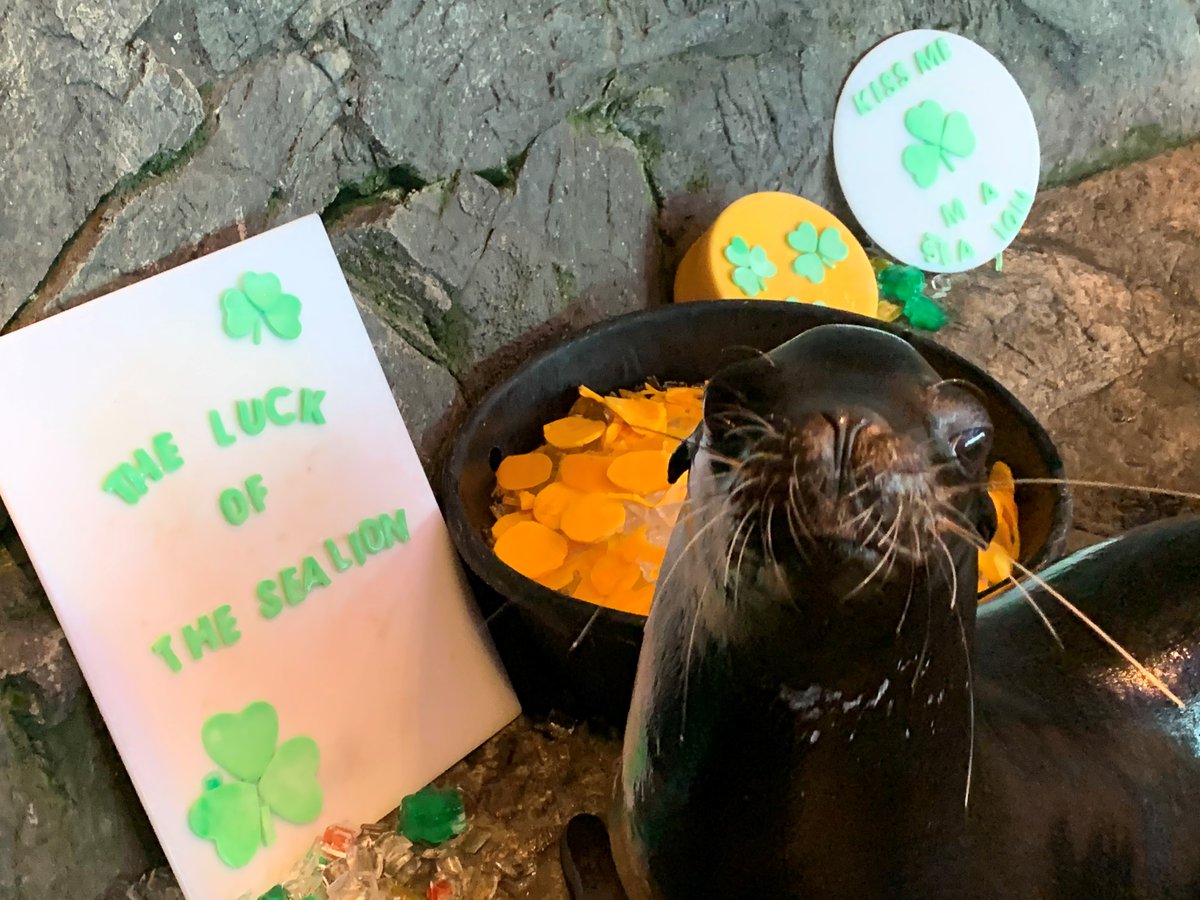 Shedd Aquarium tweet media