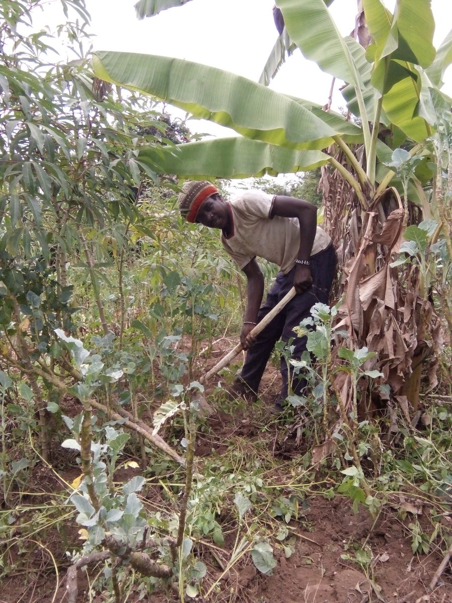 Ramsizo3's tweet photo. #Route2Food #OrganicFarming #DHC #AdoptAStartUp https://t.co/zB4KvAXc6a