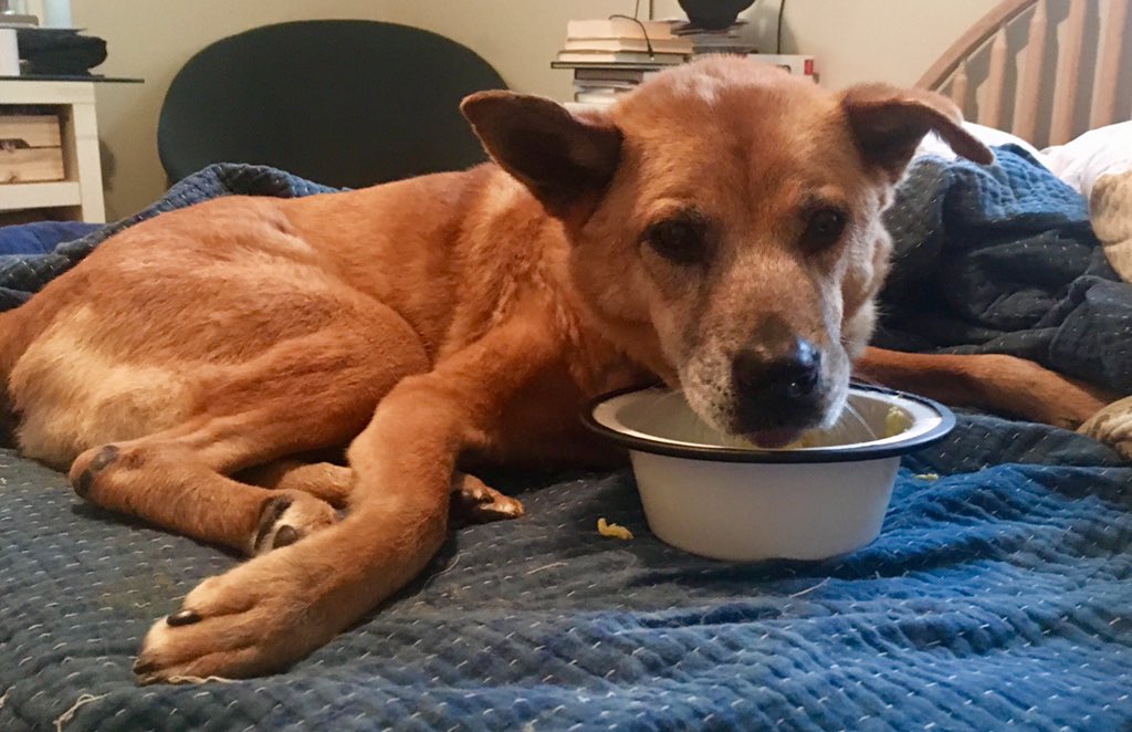 @austinlouisray.bsky.social tweet media