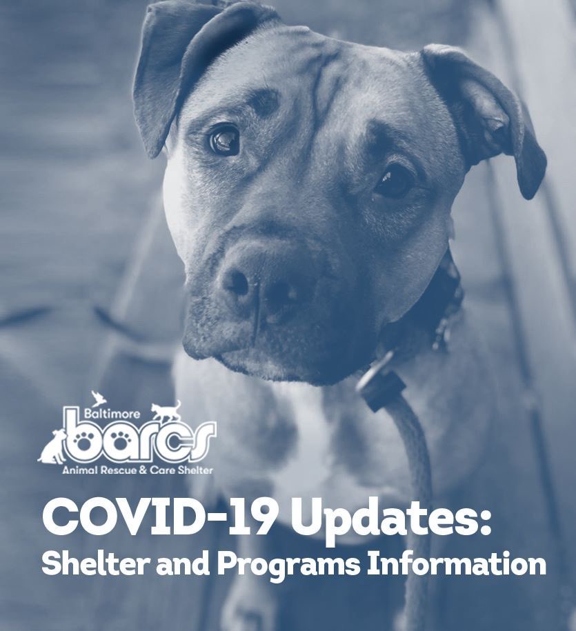 The Baltimore Animal Rescue And Care Shelter Barcs